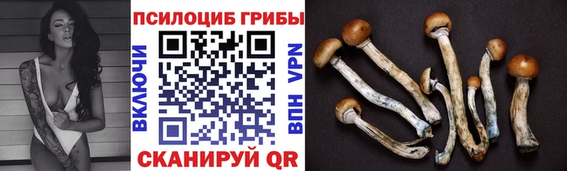 Галлюциногенные грибы мицелий  Мытищи 