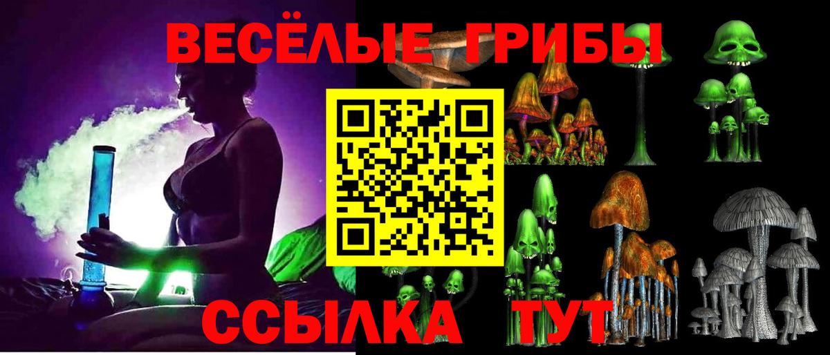 Псилоцибиновые грибы прущие грибы Мытищи