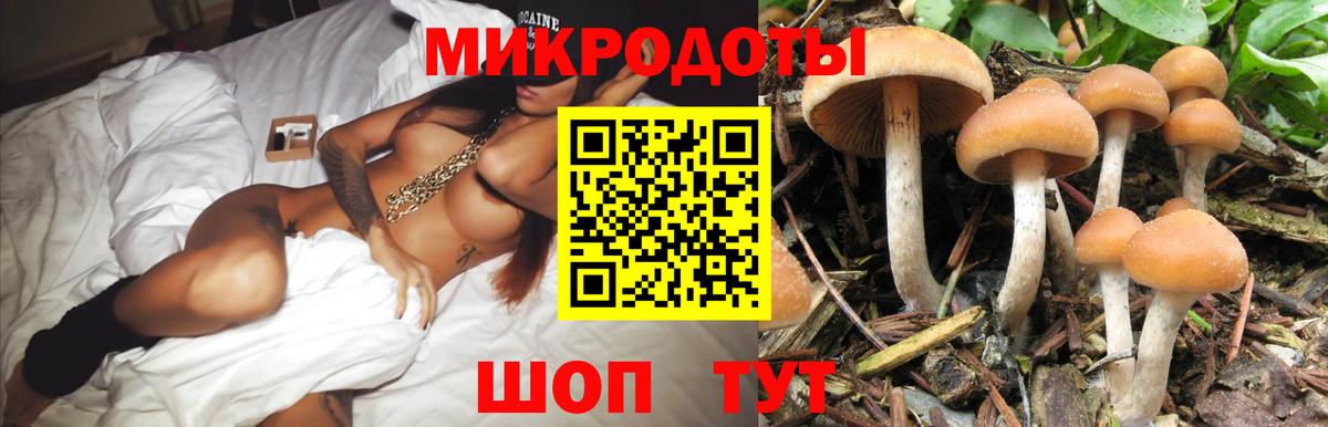 Псилоцибиновые грибы MAGIC MUSHROOMS  купить наркоту  Вход с VPN  Мытищи  Псилоцибиновые грибы GOLDEN TEACHER 