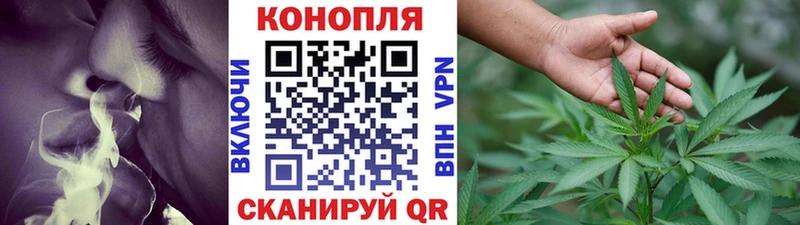 Канабис сатива  закладка  Мытищи 