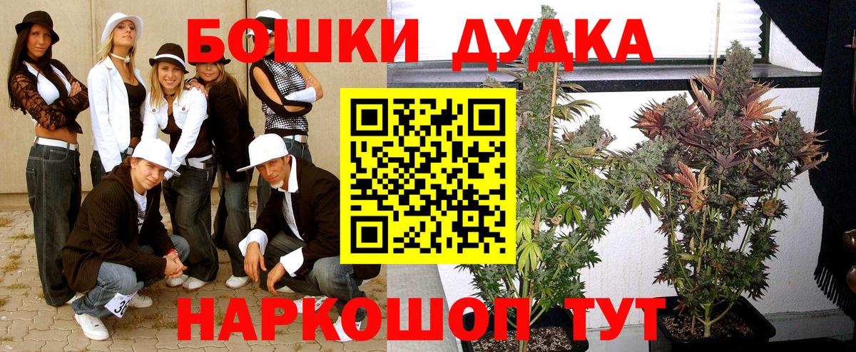 МАРИХУАНА тримм  МАРИХУАНА план  Мытищи  Бошки Шишки гибрид  Бошки марихуана конопля 